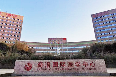 醫(yī)用氣體工程，醫(yī)用分子篩制氧系統(tǒng)